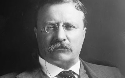 President Theodore Rosevelt: Citizenship in a Republic