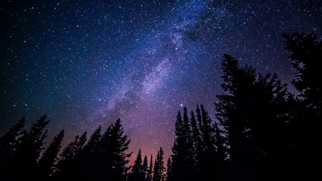 On Effective Boards of Directors: Perspective from Mark Leonard of Constellation Software